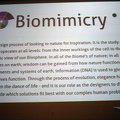 di_20140320_191200_st-on_biomimicry