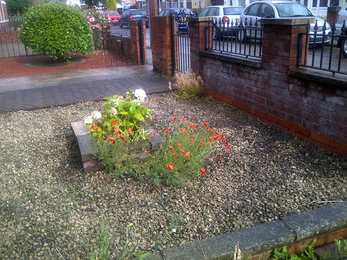 Front year garden in Hull England