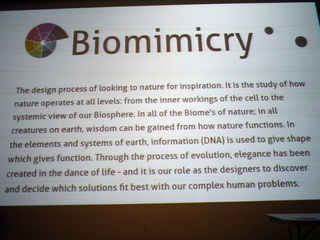 di_20140320_191200_st-on_biomimicry