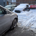Assured Automotive