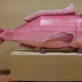 Stanley Museum of Art