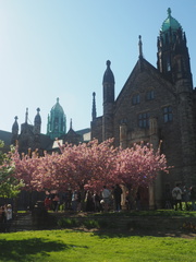 Trinity College