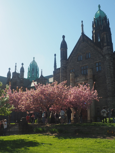 Trinity College